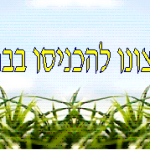 cropped-mohel-header.bmp