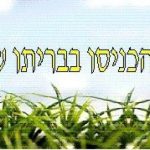 cropped-cropped-mohel-header-2-e1644265051150.jpg